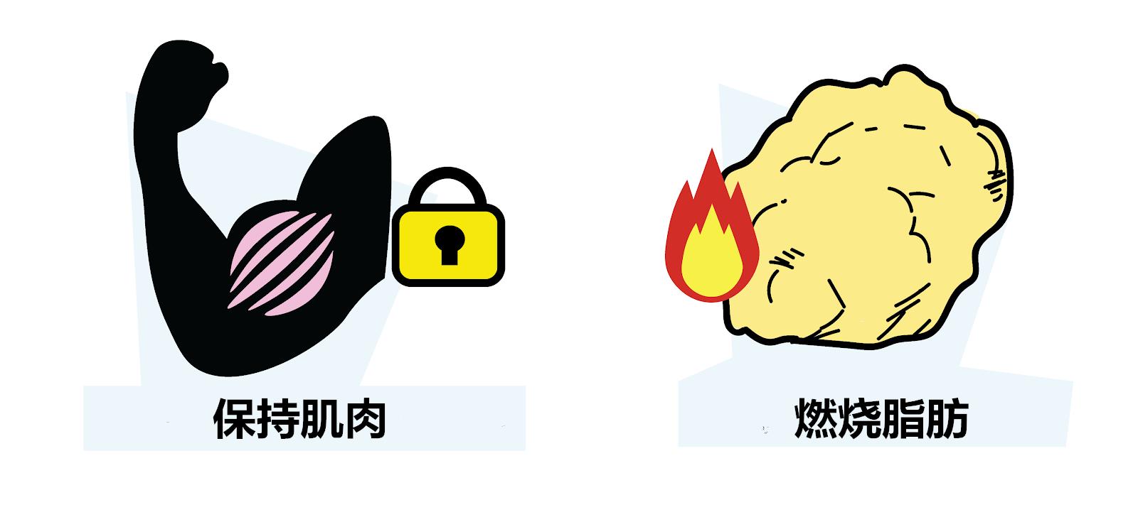 力量训练比有氧运动更减脂吗,有氧运动和力量训练哪个瘦得快