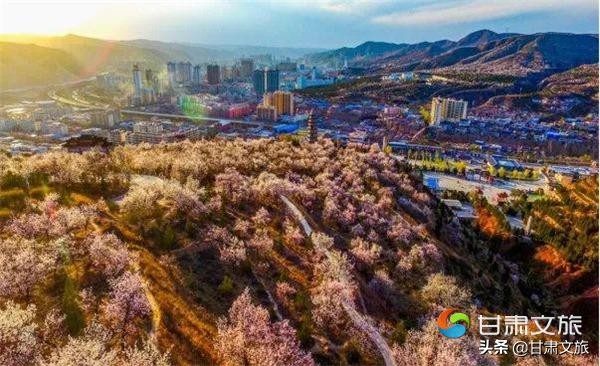 会宁革命圣地介绍,会宁红色旅游胜地图片大全