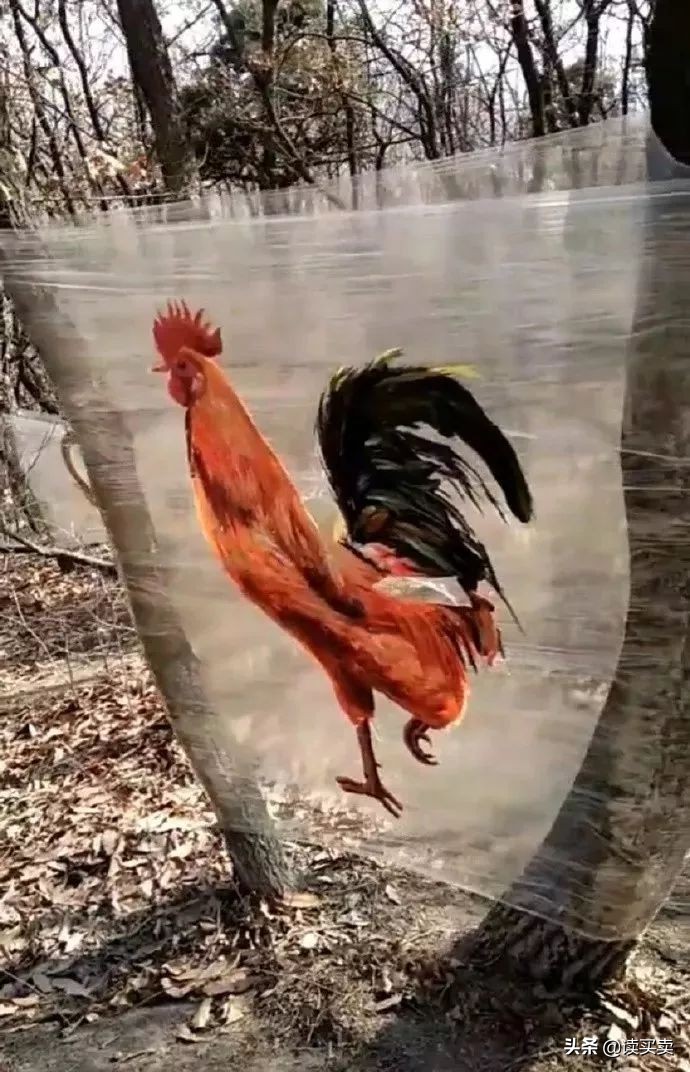 怎么判断男生直不直男,如何判断一个男生直不直