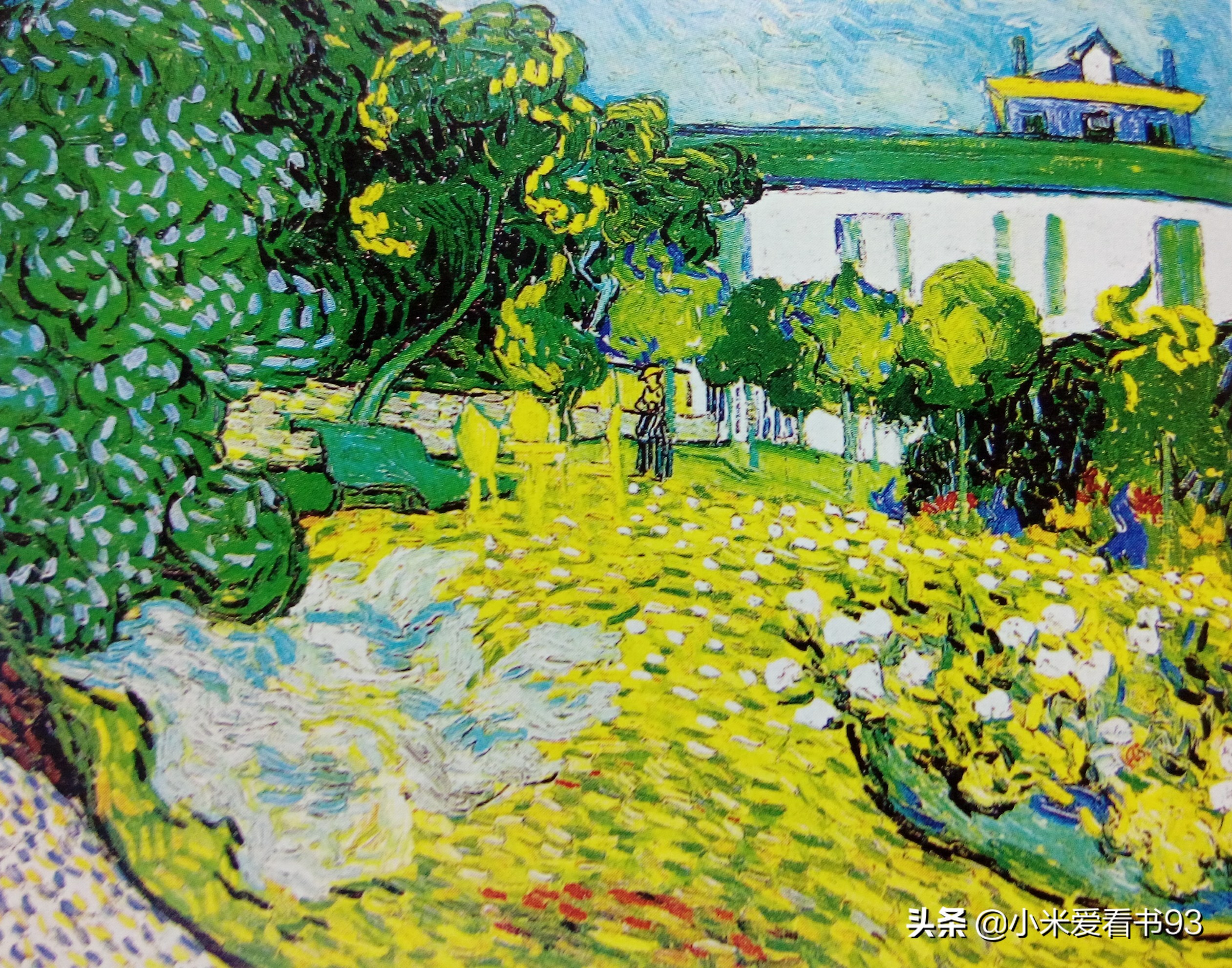 万字重磅解读,梵高传作品及解说