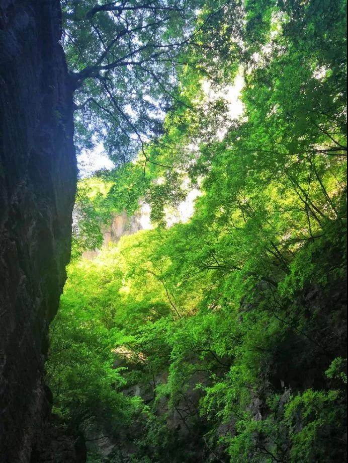 乐评戏曲,乐评叱咤风云