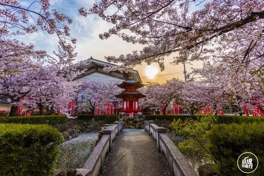 全球宜居城市排行大阪,大阪哪几个市最宜居