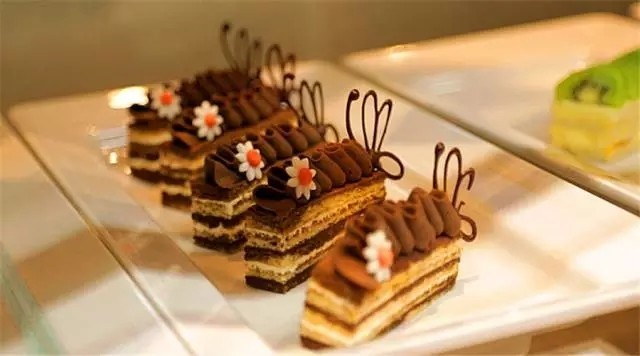 出国邮轮旅游时间要求最新,出国坐邮轮旅游