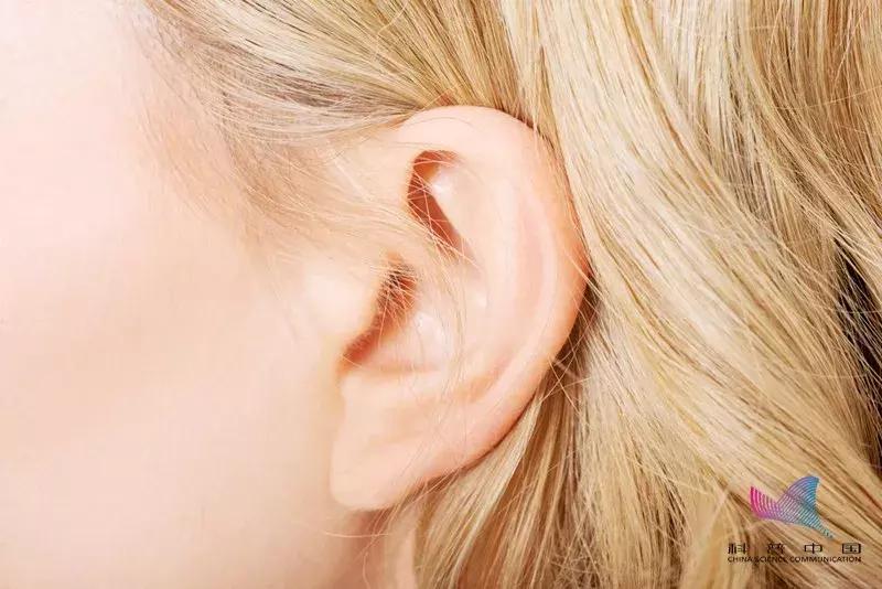 耳朵怎么掏才是正确的,耳朵怎么掏得干净安全