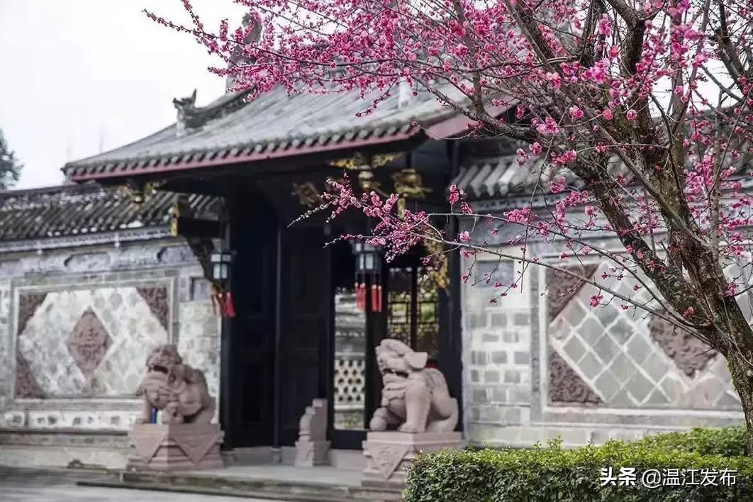 2024温江即将动工的大项目明细,干大事