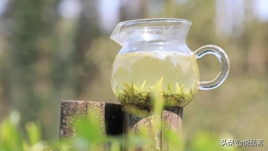 都匀毛尖茶叶是十大茗茶吗,都匀毛尖在十大名茶排名第几