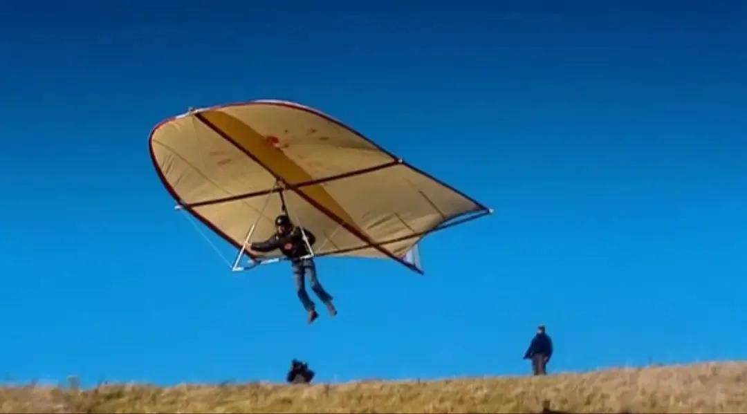 蚊子的仿生发明,蚊子仿生学发明设计