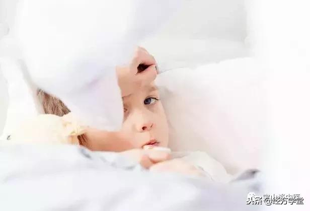 蒲地蓝科普,蒲地蓝中医辨证