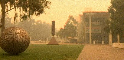 澳大利亚山火导致多少动物死亡,澳洲山火肆虐无数动物被烧死