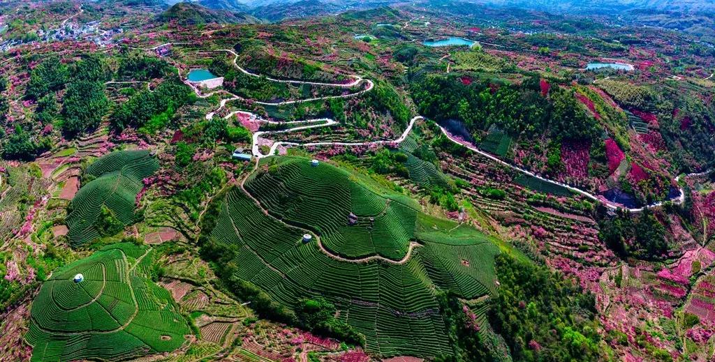 市级记功奖励,2019集体记功奖励