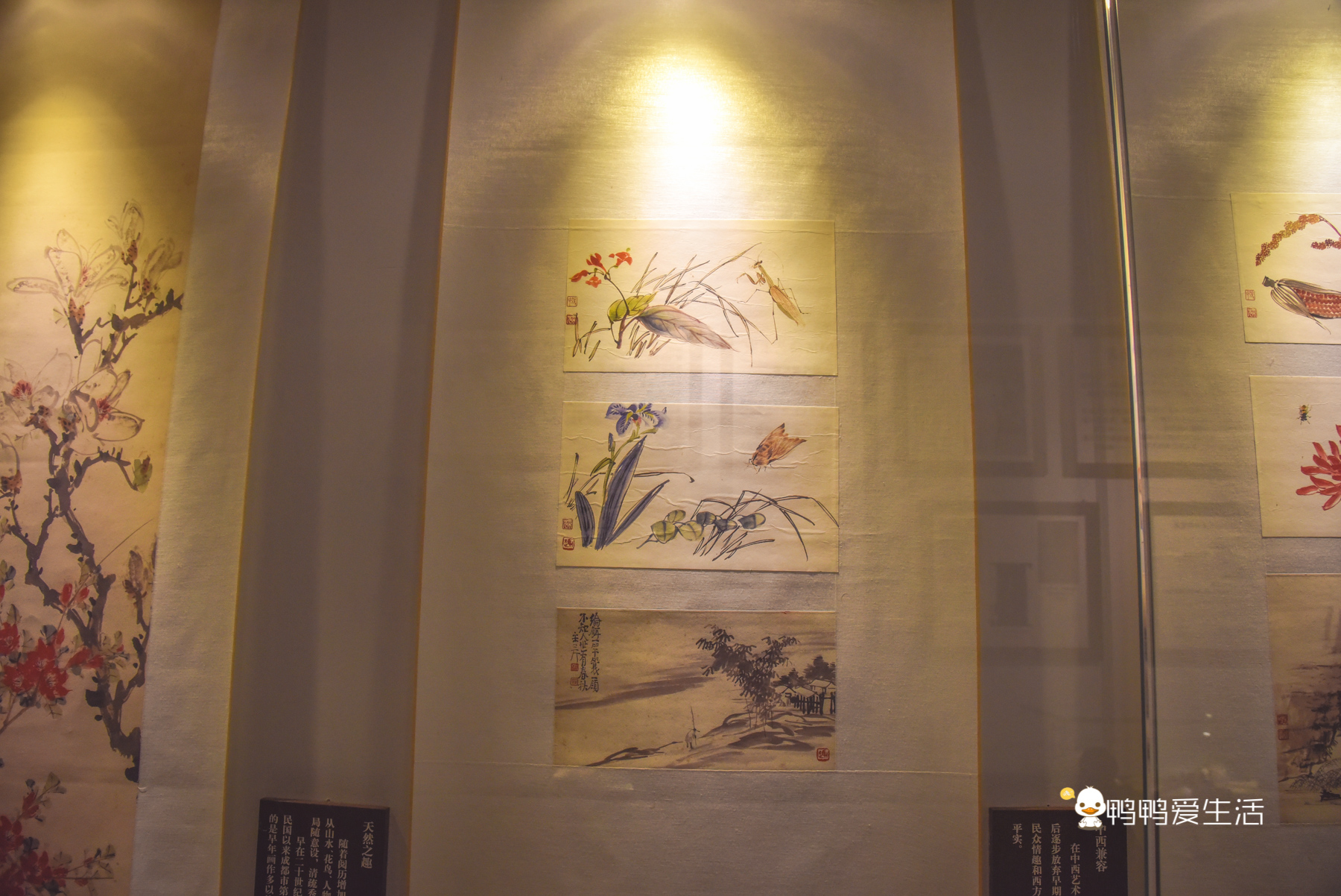 成都旅游必去景点推荐宽窄巷子,成都锦里和宽窄巷子哪个值得去