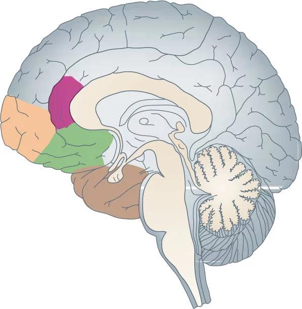 术后癫痫一般发生在什么状况下,术后癫痫原因