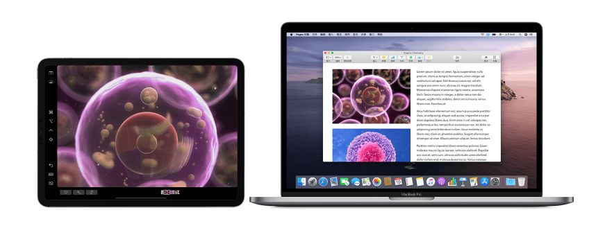 哪一个版本的wps最好用呢,哪一个版本的wps最好用