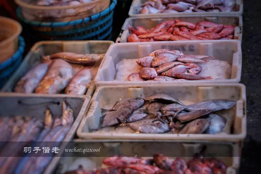 从英迪格出发，跟随“邻”感大使深入厦门玩味毗邻