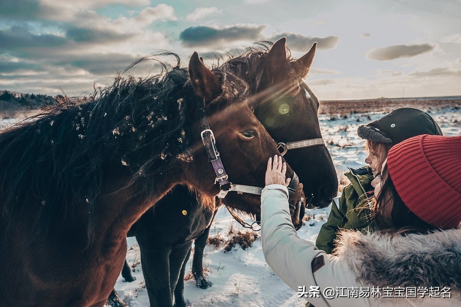 唐诗中简单大气的男孩名字,唐诗男孩大气有涵养的名字