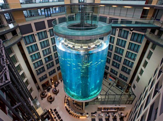 全球唯一一个巨型鱼缸,全球最长最大的海洋鱼缸建造过程