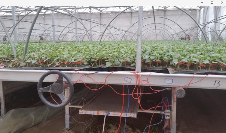 赵猛石墨烯,国家石墨烯联盟赵猛