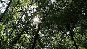 重庆轨道3号线,贵阳地铁3号线