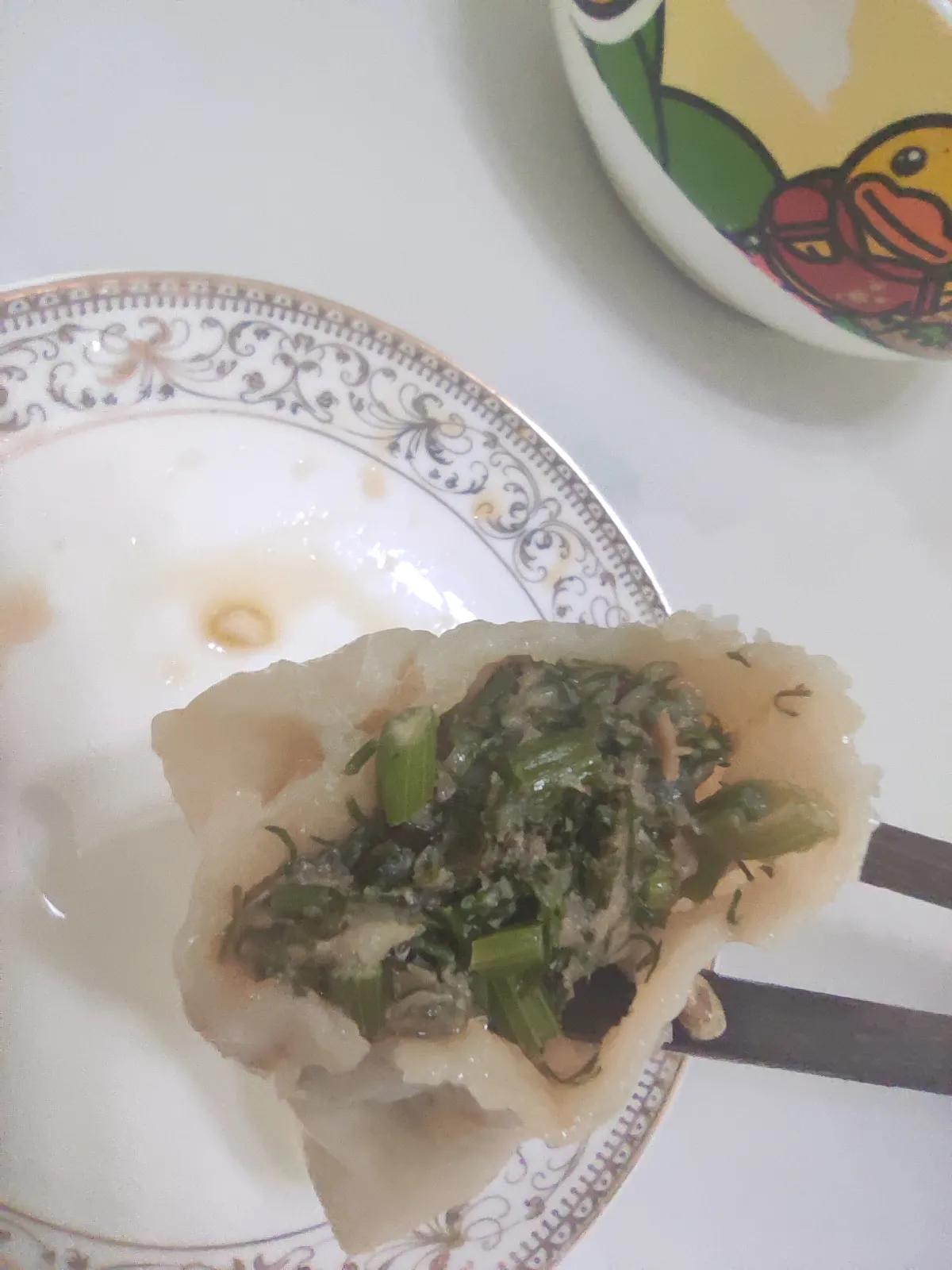 茴香馅饺子视频,茴香馅饺子怎么做好吃