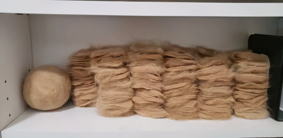 在路上捡回来的流浪猫给它洗澡,救助的流浪猫生病自己无能为力