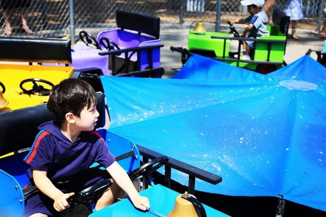 芝加哥南部旅游攻略图文,芝加哥附近旅游