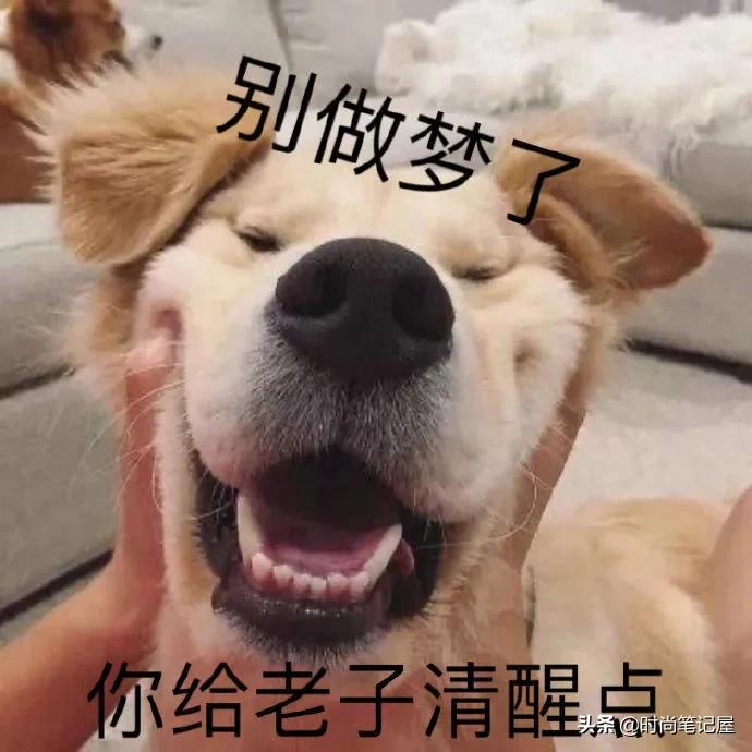 如何辨别真假代购商店,真假代购店鉴别大法