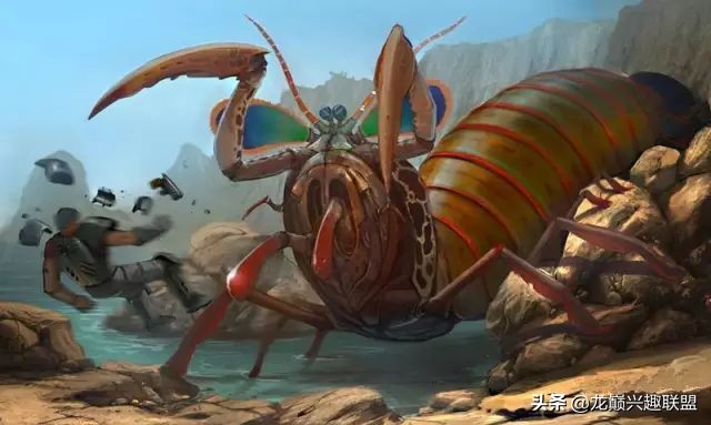 皮皮虾真的那么神奇吗,皮皮虾真的有那么恐怖吗