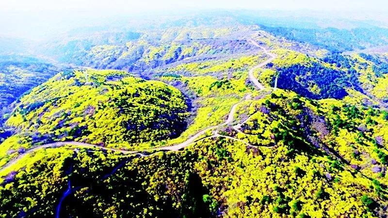 中国天然氧吧安泽,中国天然氧吧是哪个县