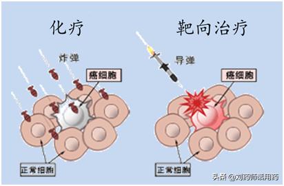 靶向药双靶向和单靶向,靶向治疗双靶向和单靶向
