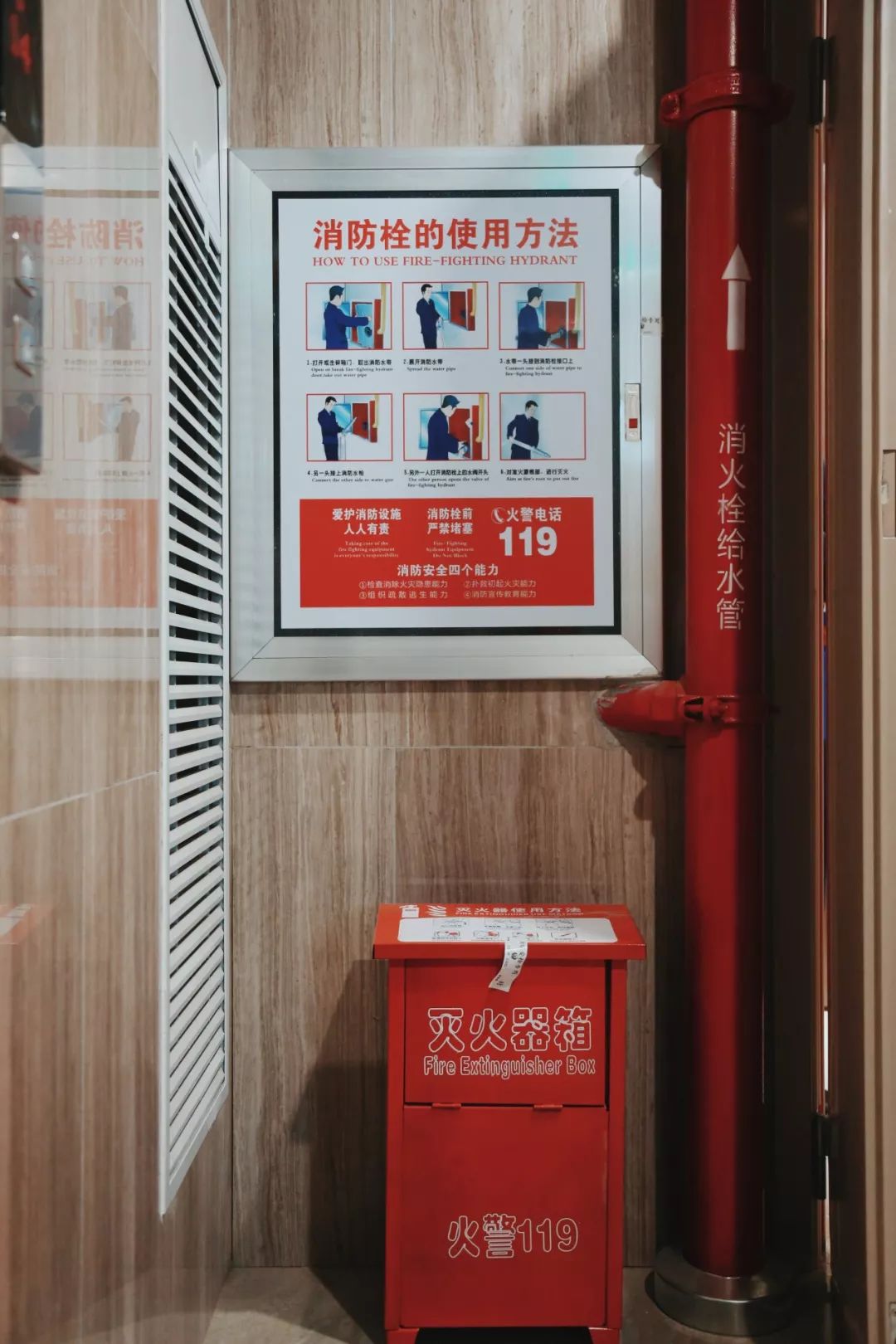 走，带你去看黄家湖畔的“蓝马甲”