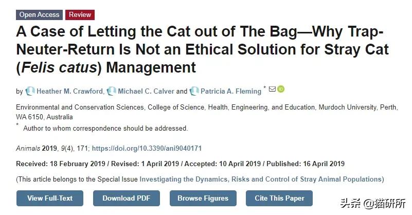 流浪猫的孩子野性也大吗,流浪猫的灵性有多可怕