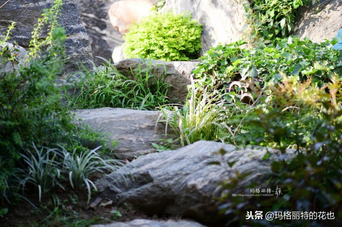 这座半山半水的土豪庭院，成了大多数男人的梦想｜花园拜访