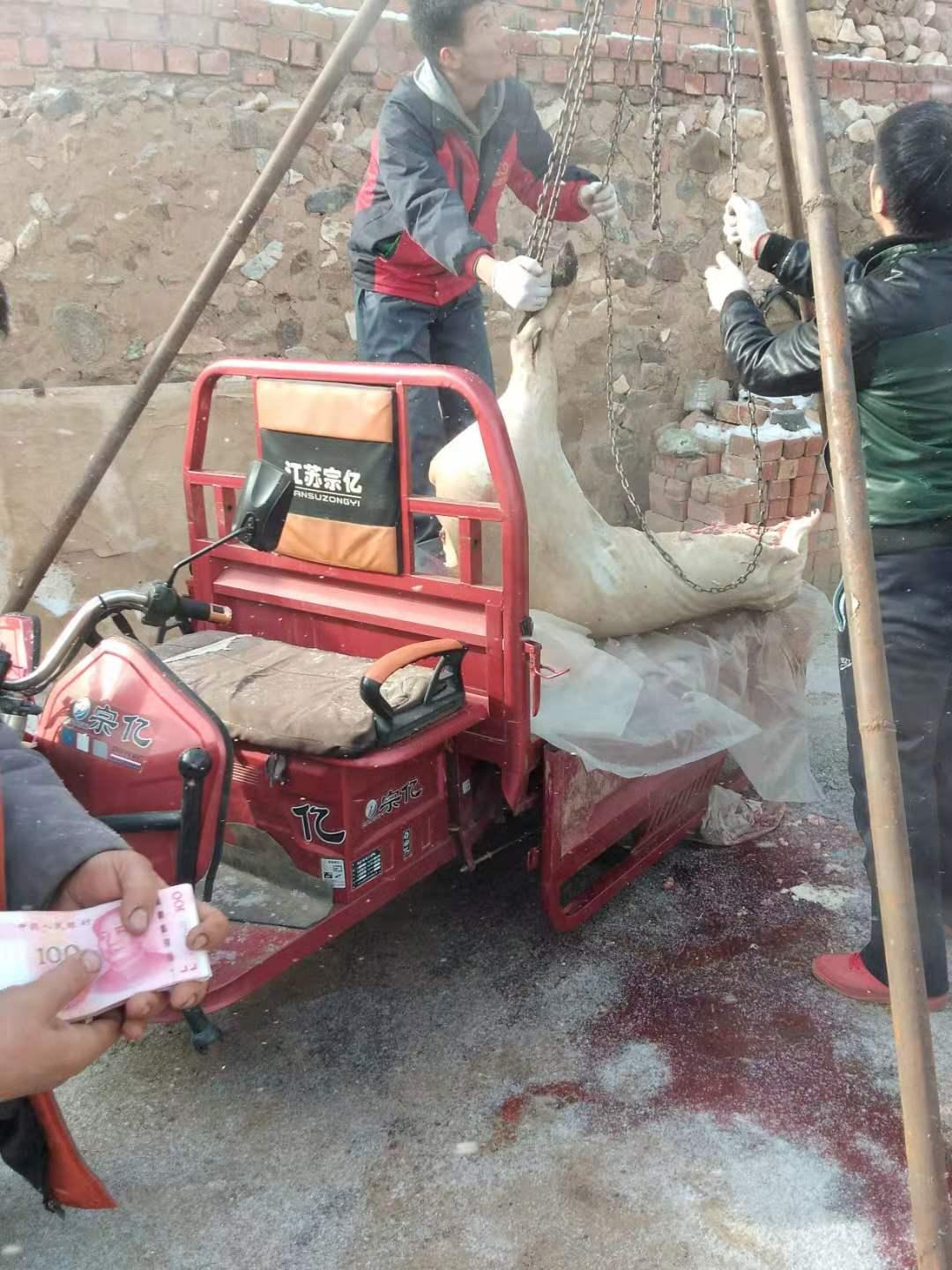 【固阳县】【固阳县新时代文明实践一周快讯】