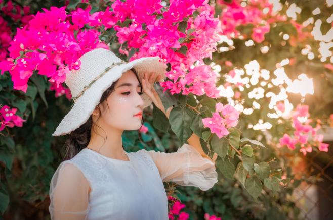 叶绍翁50首诗,叶绍翁10首经典诗词