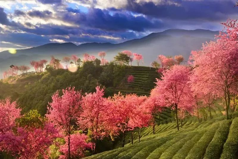 11-12月十大必去旅行地,12月高性价比的旅游地