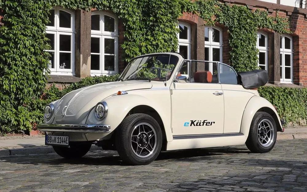 甲壳虫能彻底复活吗,造型奇特的甲壳虫