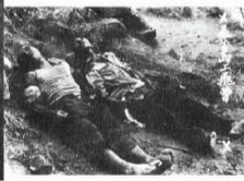 这么蠢还能当将军？日军中将迷路被围观，死到临头却不知还在讨饭