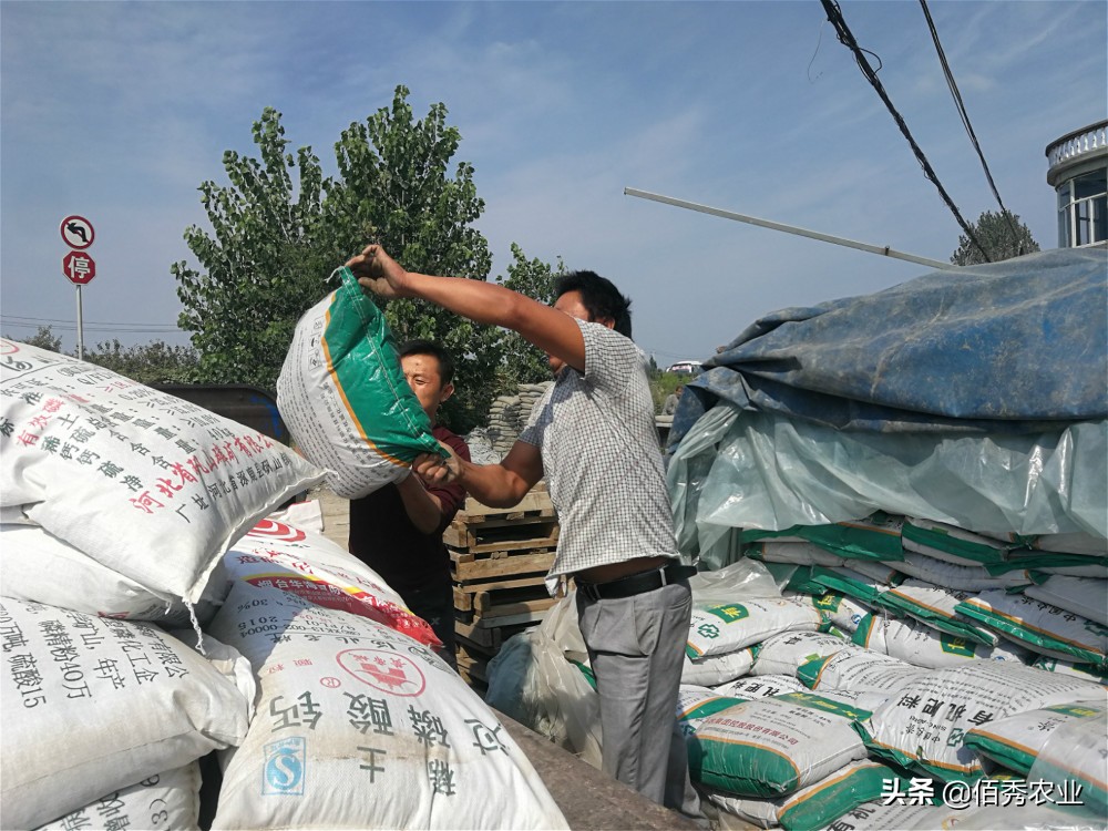 4个项目适合农村致富,农村冷门又赚钱的行业
