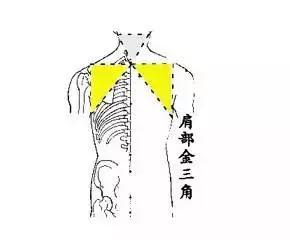 神奇的人体三角区，养好了，百病难扰