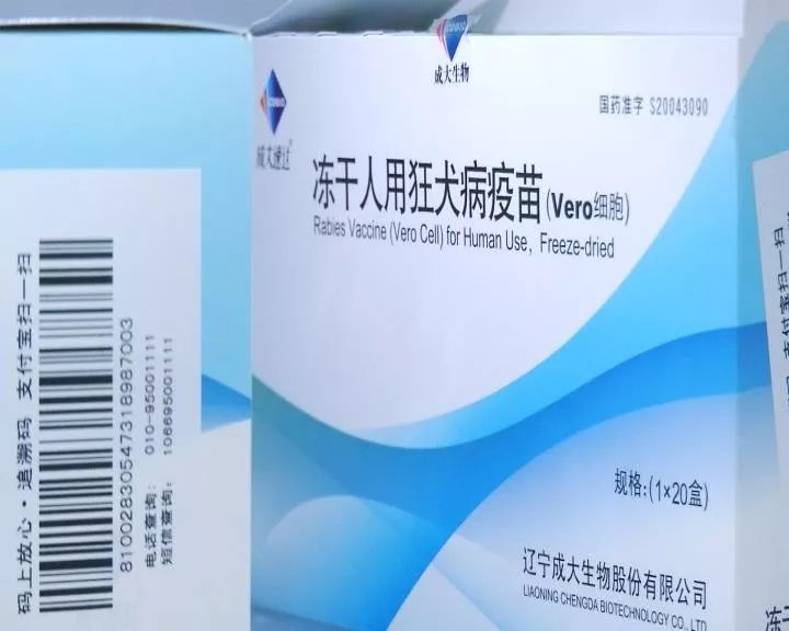 被熊咬伤要打狂犬疫苗？医生：被老鼠咬也要打