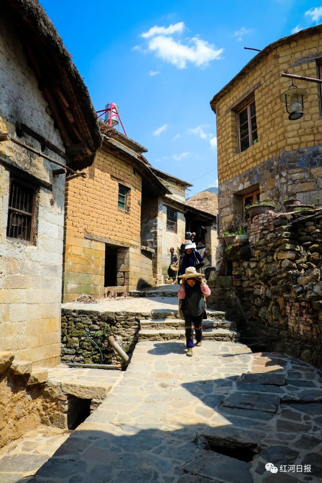 红河哈尼梯田的高考题,云南红河元阳高考