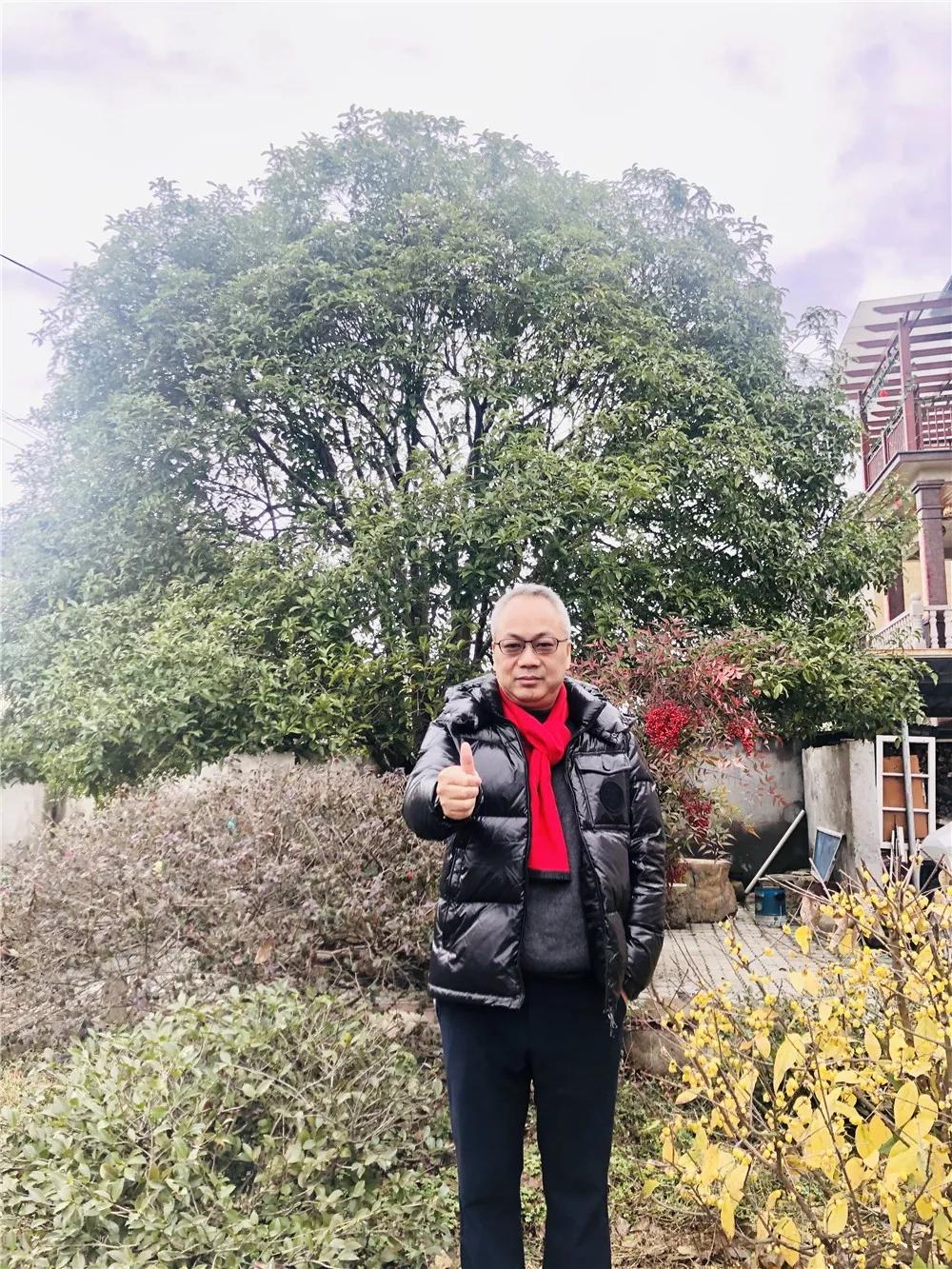 “桐”是一家人，面对疫情，我们“桐”舟共济！逆行者，我们等你凯旋