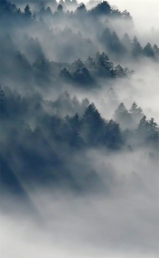 缓解眼睛疲劳动态图壁纸,好看的手机壁纸护眼高清图文