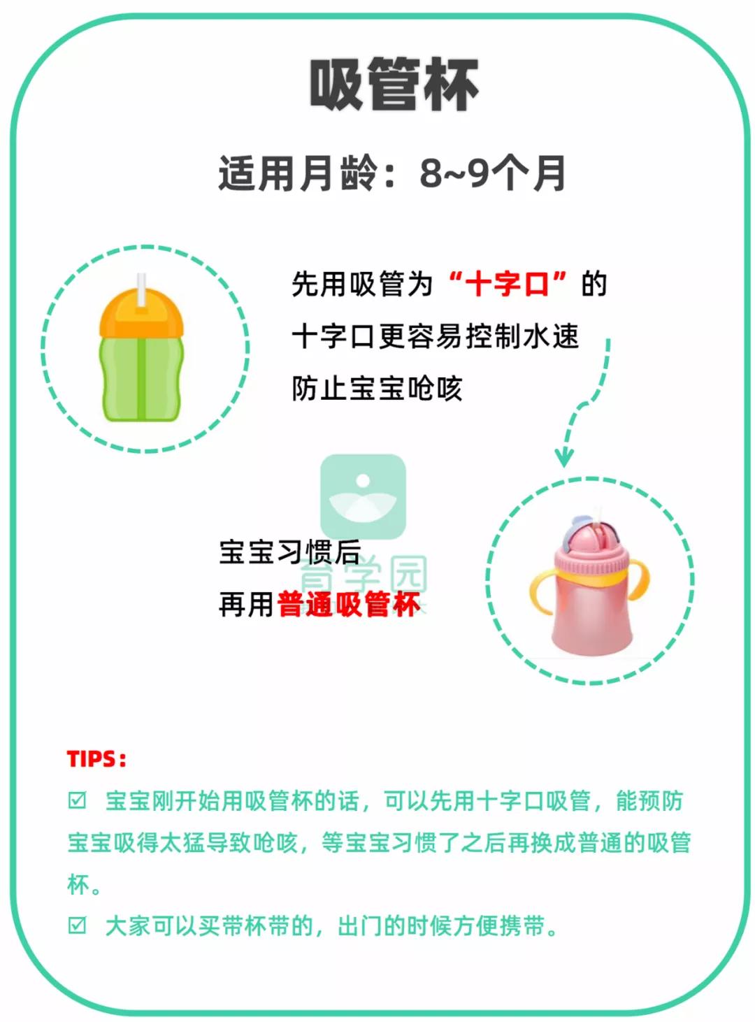 宝宝奶瓶鸭嘴杯和吸管杯讲解,奶瓶鸭嘴杯吸管杯最适合的年龄段