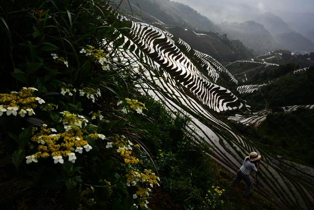 传遍中国的广西话语,广西当地用语