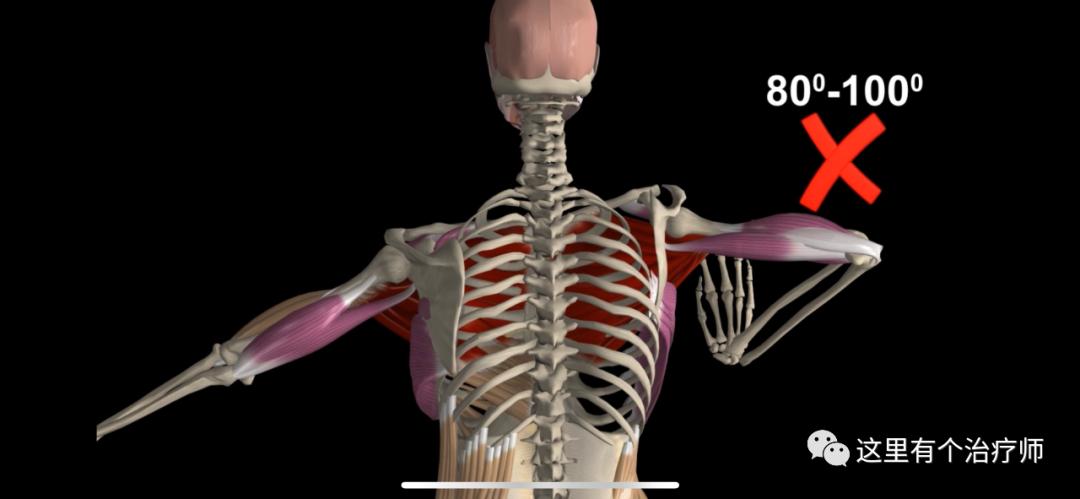 【运动损伤Respond】第一期，俯卧撑与肘关节疼痛。