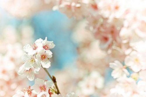 励志语录努力做一个积极向上的人,心灵鸡汤积极向上