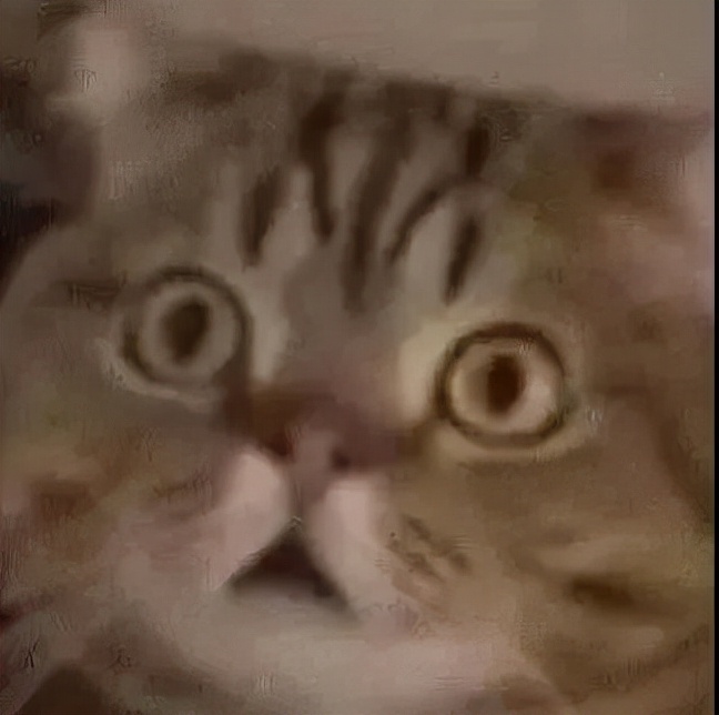 中金校招目标学校,中金公司2024校招学校名单