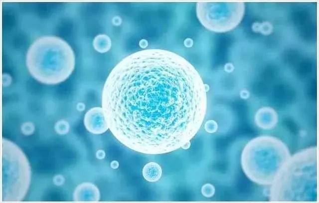 哪些问题属于内分泌失调,肠道菌群失调与甲状腺疾病有关