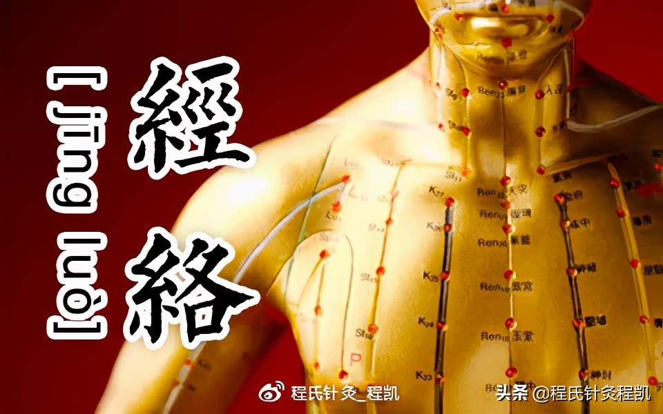 程凯养生说腿上的经络,程凯养生说脏腑推拿